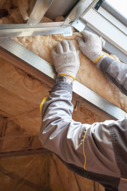 Best Insulation for New Construction  in Lochbuie, CO