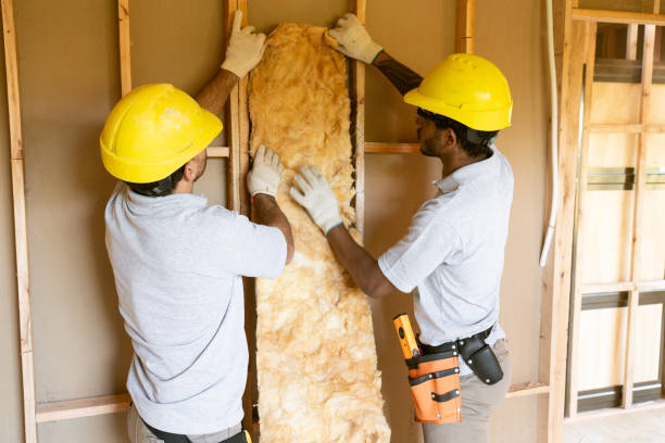 Best Attic Insulation Installation  in Lochbuie, CO