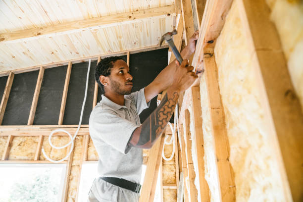 Best Wall Insulation Installation  in Lochbuie, CO